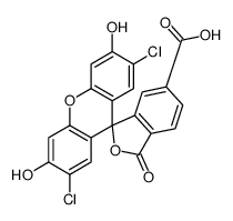 FAM|6-carboxy-27-dichlorodihydrofluorescein