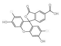 5-carboxy-27-dichlorodihydrofluorescein