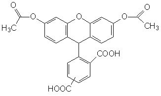 FAM|5(6)-Ȼӫض