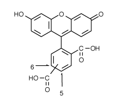 FAM|5(6)-Ȼӫ