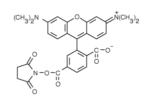 TAMRA|6-羧基四甲基罗丹明琥珀酰亚胺酯