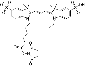 CY3 SE