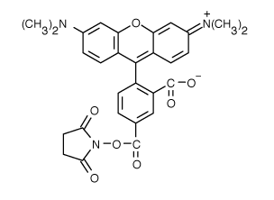 TAMRA|5-Ȼļ׻޵ǰ