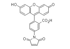 ӫ-5-ǰ