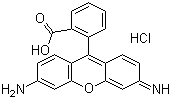 TAMRA|޵110