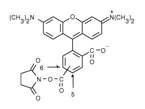 TAMRA|5(6)-Ȼļ׻޵ǰ