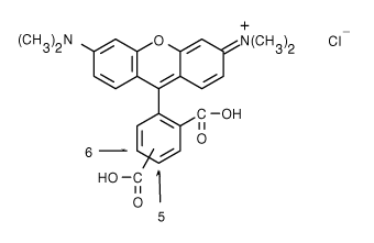 TAMRA|5(6)-Ȼļ׻޵