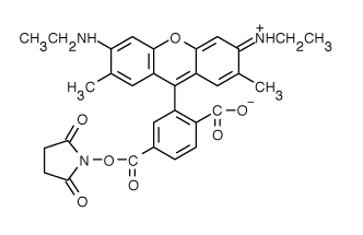 TAMRA|6-޵6G ǰ