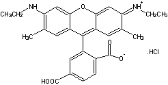 TAMRA|6-޵6G