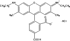 TAMRA|5-޵6G