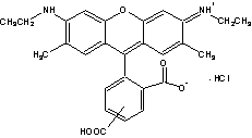 TAMRA|5(6)-޵6G