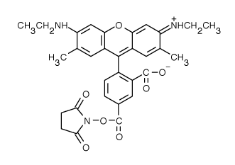 TAMRA|5-޵6G ǰ