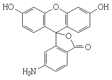 6- 氨基荧光素（FITC）