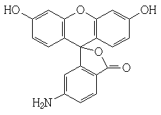 6- ӫأFITC