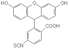 6-异硫氰酸荧光素（FITC）