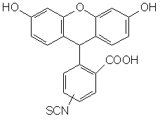 5(6)-ӫأ5-FITC