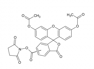 FAM|5(6)-CFDA SE