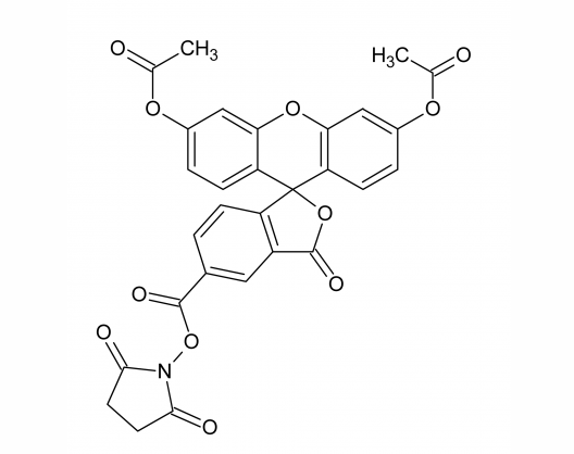 FAM(5-羧基荧光素二乙酸琥珀酰亚胺酯)