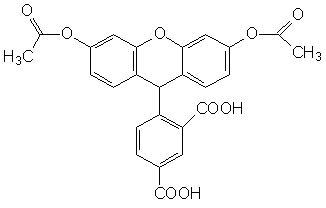 FAM|5-羧基荧光素二乙酸酯