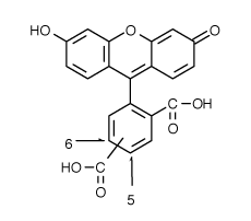 FAM|5(6)-羧基荧光素