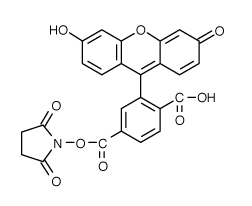 5-FAM|6-羧基荧光素琥珀酰亚胺酯