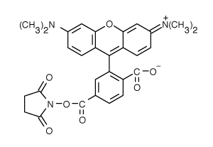 5-TAMRA|6-Ȼļ׻޵ǰ