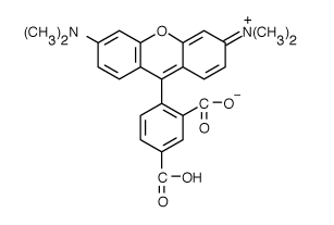 5-TAMRA|5-羧基四甲基罗丹明