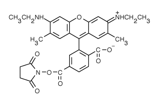 TAMRA|6-罗丹明6G 琥珀酰亚胺酯