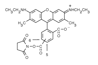 TAMRA|5（6）-罗丹明6G 琥珀酰亚胺酯